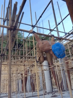 看搬磚小哥如何在工地健身 大寫(xiě)的牛！