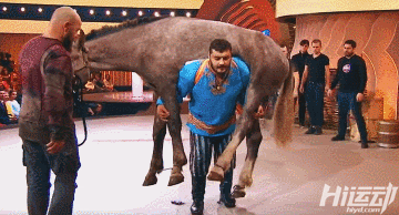 跟馬過不去的大力士！擁有63項(xiàng)吉尼斯世界紀(jì)錄