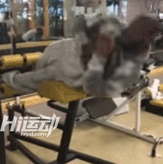 橄欖球運動為什么會經常腦震蕩？看完球員訓練！這跟撞車沒區別