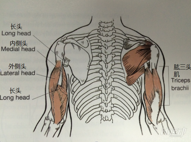 開發洪荒之力 3個動作強化麒麟臂