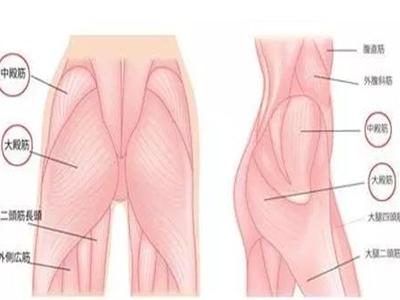 練臀這個(gè)動(dòng)作最有效,三個(gè)瑜伽體式輕松做到