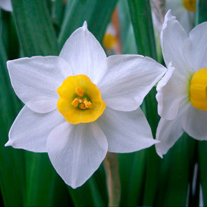 每天用甩脂機(jī)能減肥嗎 甩脂機(jī)能減肥多少斤-易網(wǎng)健康<a href=http://www.jsjjzhkt.cn/jkys/ target=_blank class=infotextkey>養(yǎng)生</a>網(wǎng) 每天用甩脂機(jī)能減肥嗎 甩脂機(jī)能減肥多少斤