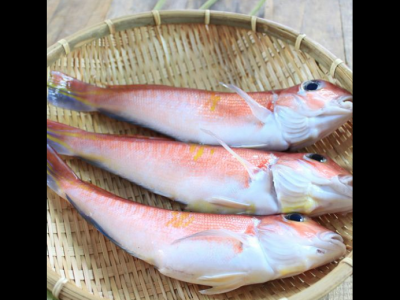 2019馬頭魚多少錢一斤?馬頭魚的功效與作用及食用方法