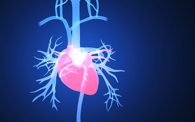 經(jīng)常做下蹲的危害 做下蹲的危害多大