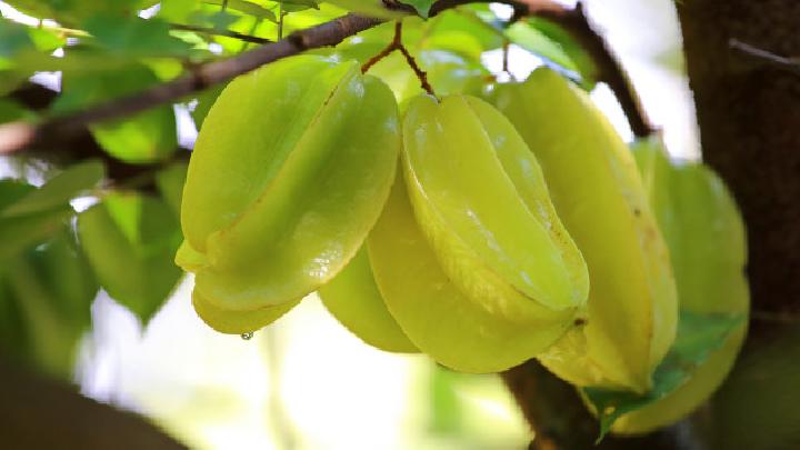 夏季應季減肥餐有哪些 火龍果清腸排毒一身輕-易網健康<a href=http://www.jsjjzhkt.cn/jkys/ target=_blank class=infotextkey>養生</a>網 夏季應季減肥餐有哪些 火龍果清腸排毒一身輕