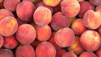 別再盲目吃水果飲食減肥了,這些水果只會讓你越吃越胖-易網(wǎng)健康養(yǎng)生網(wǎng) 別再盲目吃水果飲食減肥了,這些水果只會讓你越吃越胖