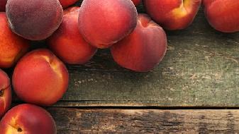 減肥須知，單一飲食的正確結構