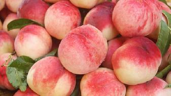 這些吃法能夠助你飲食減肥-易網(wǎng)健康養(yǎng)生網(wǎng) 這些吃法能夠助你飲食減肥