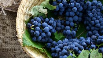 愛吃糖的妹子怎么減肥，正確吃糖的方法