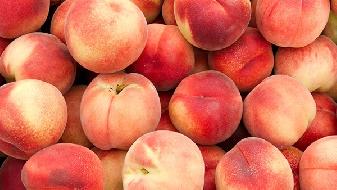 有關飲食飲食減肥的常見誤區-易網健康養生網 有關飲食飲食減肥的常見誤區