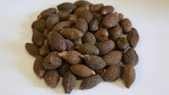 湯圓不能多吃，4顆就頂1碗飯的熱量