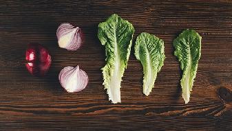 飲食減肥，專家推薦你用這個方法