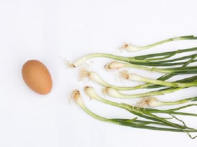 女性經(jīng)期減肥食譜吃什么? 這幾款經(jīng)期減肥食譜讓你邊吃邊瘦