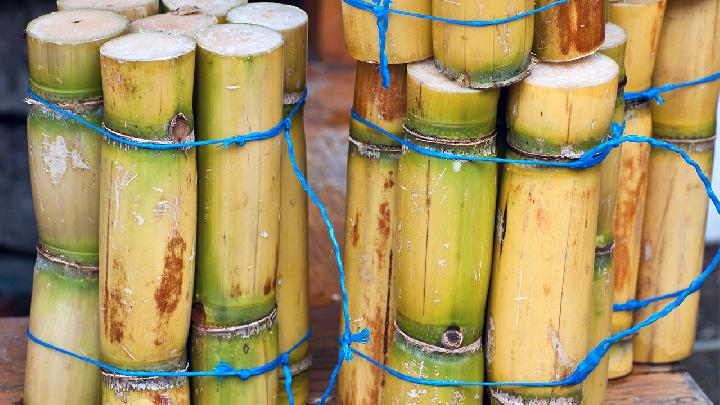 夏季減肥吃哪些食物好 夏季減肥常吃5種食物瘦的快-易網健康<a href=http://www.jsjjzhkt.cn/jkys/ target=_blank class=infotextkey>養生</a>網 夏季減肥吃哪些食物好 夏季減肥常吃5種食物瘦的快