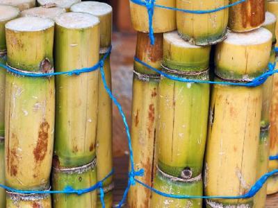 夏季減肥吃哪些食物好 夏季減肥常吃5種食物瘦的快