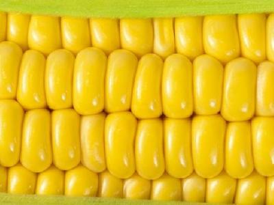 早餐怎么吃減肥？減肥早餐吃什么好？