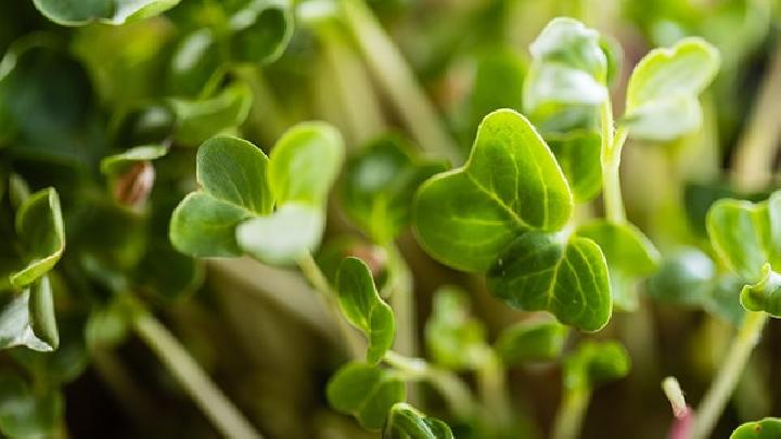 經期如何減肥?經期后七天減肥法推薦-易網健康<a href=http://www.jsjjzhkt.cn/jkys/ target=_blank class=infotextkey>養生</a>網 經期如何減肥?經期后七天減肥法推薦