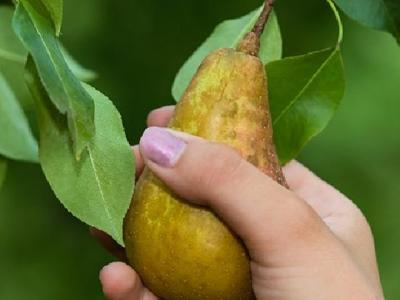 喝水能減肥嗎？喝水對減肥有哪些好處？