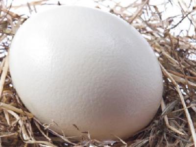 減肥吃什么魚(yú)肉比較好？適合減肥吃的魚(yú)盤點(diǎn)