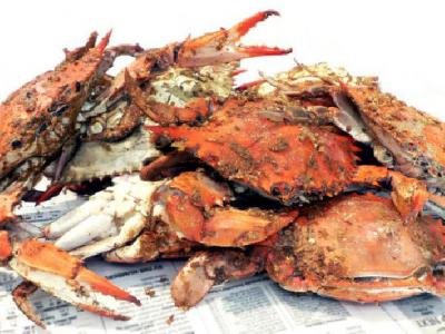 最新辦公室減肥操推薦 甩肉燃脂擺脫脂肪