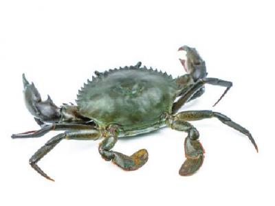 減肥初期體重增加怎么辦？運動在減肥種的作用是什么？