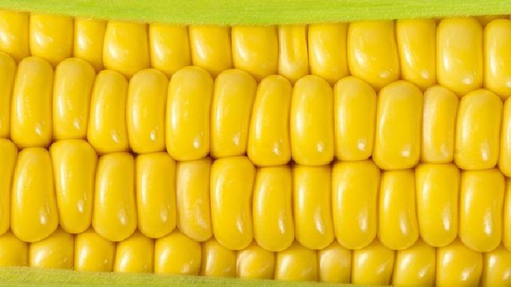 番茄的減肥功效是怎樣的?吃番茄能減肥嗎?-易網健康<a href=http://www.jsjjzhkt.cn/jkys/ target=_blank class=infotextkey>養生</a>網 番茄的減肥功效是怎樣的?吃番茄能減肥嗎?