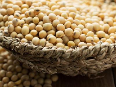 春季減肥吃什么好？春季減肥飲食推薦