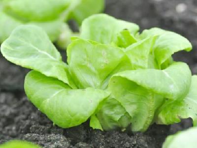 什么運(yùn)動(dòng)減肥效果最明顯呢？減肥最好的運(yùn)動(dòng)方法推薦