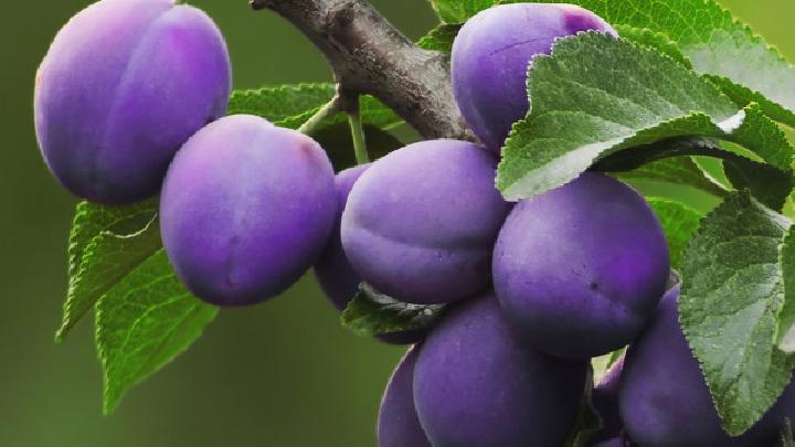 紅薯能減肥 注意紅薯這樣吃更容易瘦-易網(wǎng)健康<a href=http://www.jsjjzhkt.cn/jkys/ target=_blank class=infotextkey>養(yǎng)生</a>網(wǎng) 紅薯能減肥 注意紅薯這樣吃更容易瘦