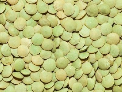 番茄可以減肥嗎？西紅柿為什么能減肥？