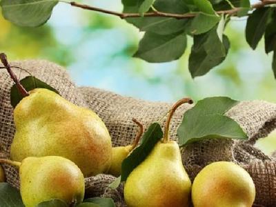 女性節食減肥要注意什么？這四大禁忌要牢記