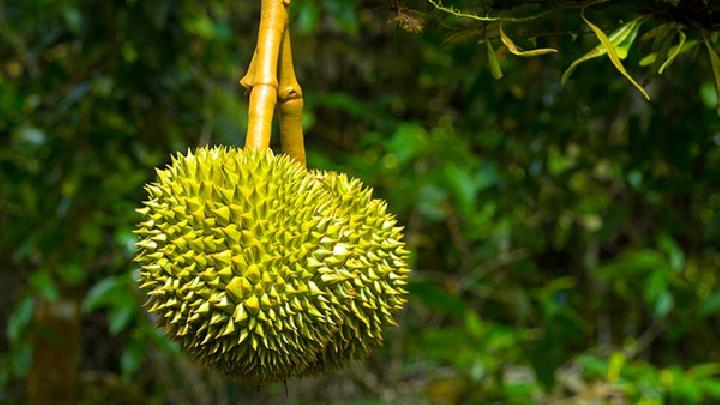 冬瓜荷葉能減肥嗎?冬瓜荷葉茶減肥的原理是什么?-易網<a href=http://www.jsjjzhkt.cn/ target=_blank class=infotextkey>健康養生</a>網 冬瓜荷葉能減肥嗎?冬瓜荷葉茶減肥的原理是什么?