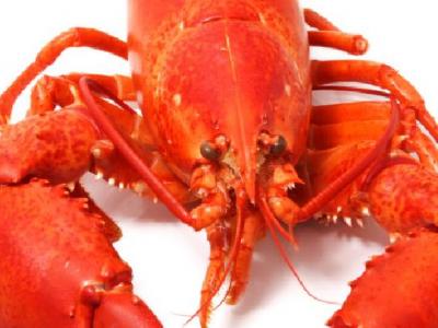 如何飲食可以減肥?瘦身飲食減肥秘訣總結