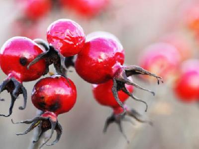 腰腹部減肥最好的運動有什么？如何運動能瘦腰瘦肚子？