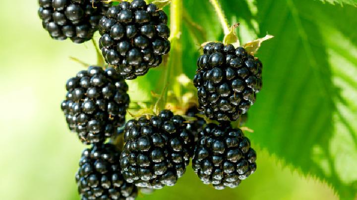 無氧運(yùn)動(dòng)可以減肥嗎?減肥者別小看無氧運(yùn)動(dòng)-易網(wǎng)健康<a href=http://www.jsjjzhkt.cn/jkys/ target=_blank class=infotextkey>養(yǎng)生</a>網(wǎng) 無氧運(yùn)動(dòng)可以減肥嗎?減肥者別小看無氧運(yùn)動(dòng)