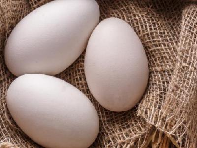 喝荷葉水能減肥的嗎？如何喝荷葉水減肥？