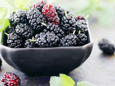 小番茄能減肥嗎？番茄的功效有哪些？