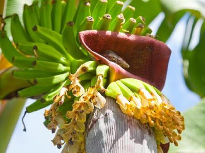 如何減肥能快速見效呢？減肥最快的方法是什么？