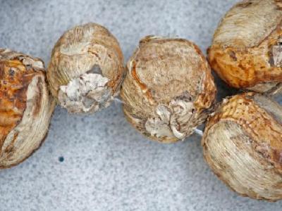 減肥瘦肚子的動作有哪些?如何運動能瘦肚子?