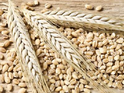 針灸減肥有什么壞處呢?針灸減肥的副作用有哪些?