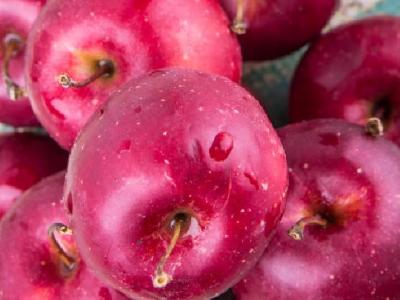 拔罐減肥有什么好處?盤點三個拔罐減肥的好處