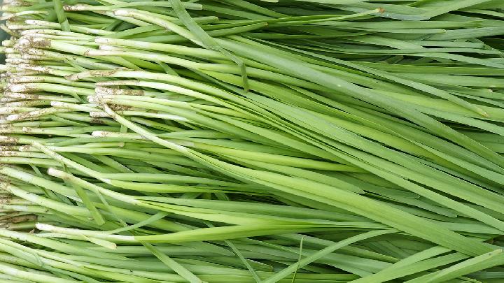 荷葉能減肥嗎？荷葉的減肥功效與作用有什么？