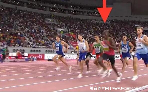 四百米為何稱為死亡跑,需要極強的耐力和爆發力(傷害較大)-易網健康<a href=http://www.jsjjzhkt.cn/jkys/ target=_blank class=infotextkey>養生</a>網 四百米為何稱為死亡跑,需要極強的耐力和爆發力(傷害較大)