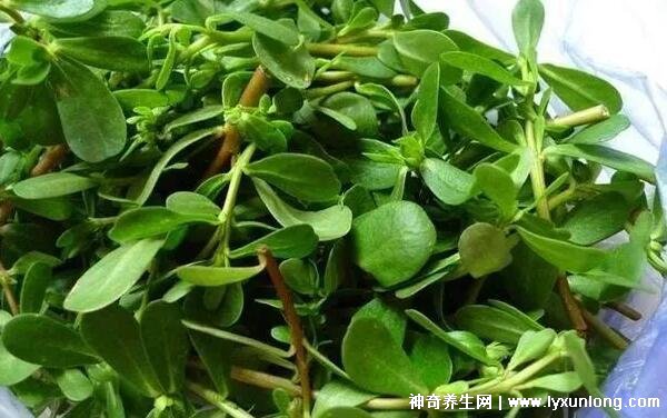 蜂蜜加什么美白淡斑,蜂蜜檸檬面膜效果最好(附祛斑偏方)-易網<a href=http://www.jsjjzhkt.cn/ target=_blank class=infotextkey>健康養生</a>網 蜂蜜加什么美白淡斑,蜂蜜檸檬面膜效果最好(附祛斑偏方)