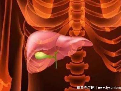 膽囊息肉最怕三種運動，散步/游泳/瑜伽(千萬別舉重爬山)