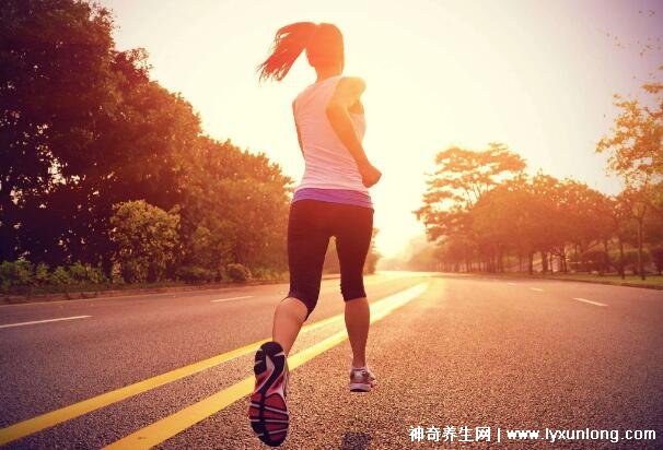 為什么慢跑三個月后才開始瘦，30分鐘后才燃燒脂肪(初期長肌肉)