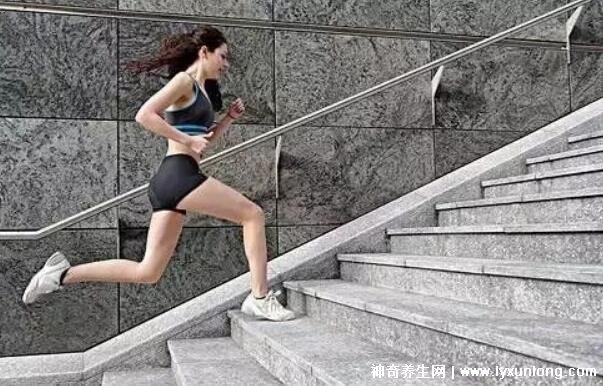 為什么慢跑三個月后才開始瘦，30分鐘后才燃燒脂肪(初期長肌肉)