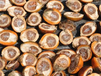 健身動(dòng)作不規(guī)范怎么辦？還可以減肥嗎？