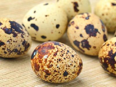 什么是養生減肥？養生減肥的方法是什么？