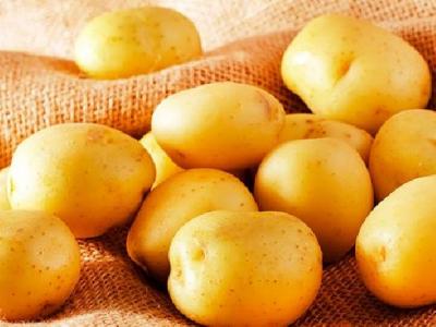 氣虛濕熱體質(zhì)怎樣減肥有效果呢?氣虛濕熱體質(zhì)減肥方法